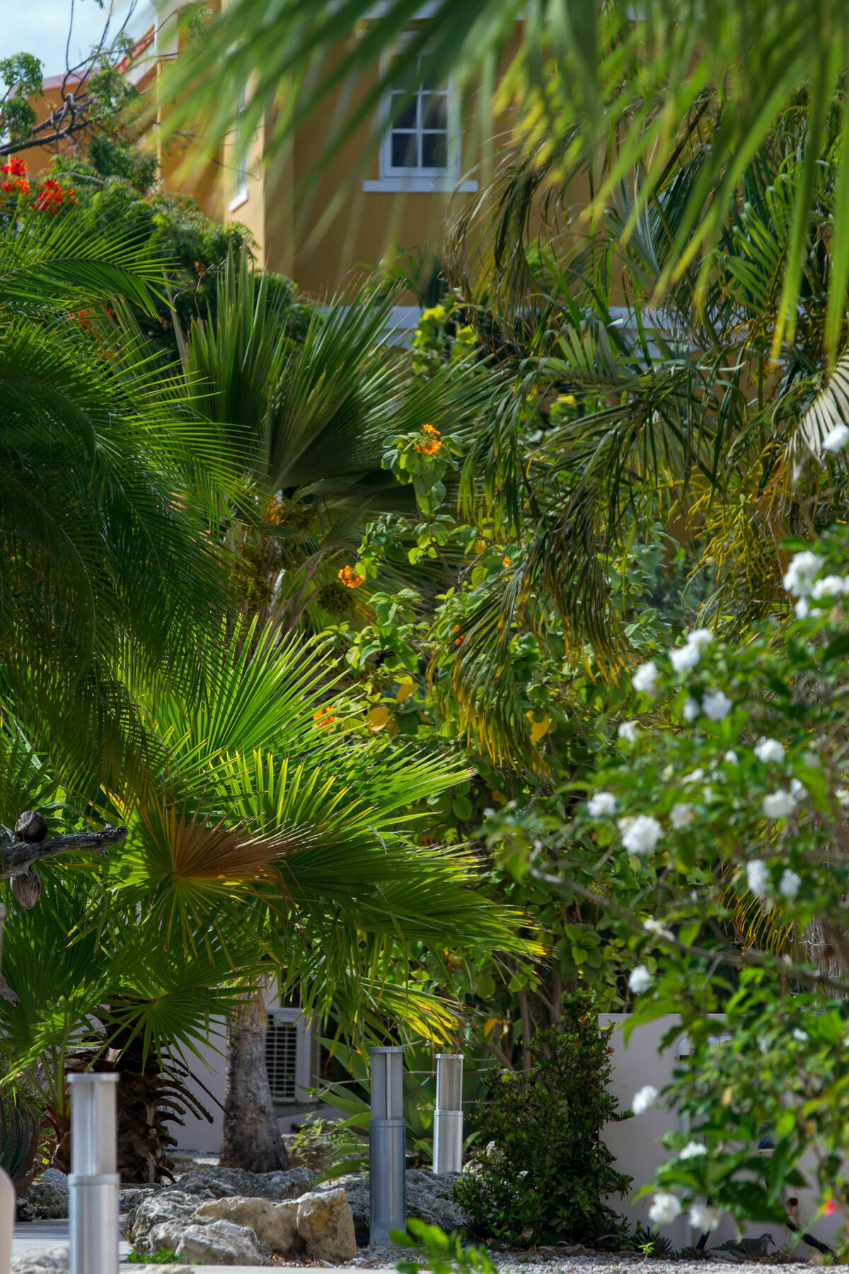 Hamlet Oasis Resort Playa Esterno foto